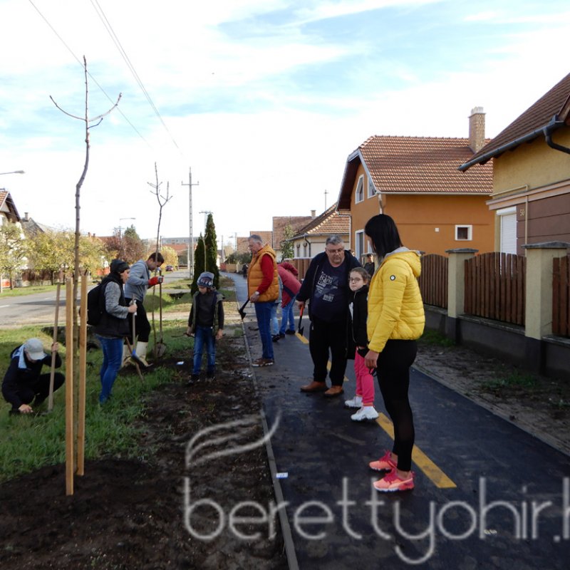 Közösségi faültetés Berettyóújfaluban 72